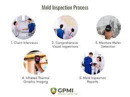 Mold Growth