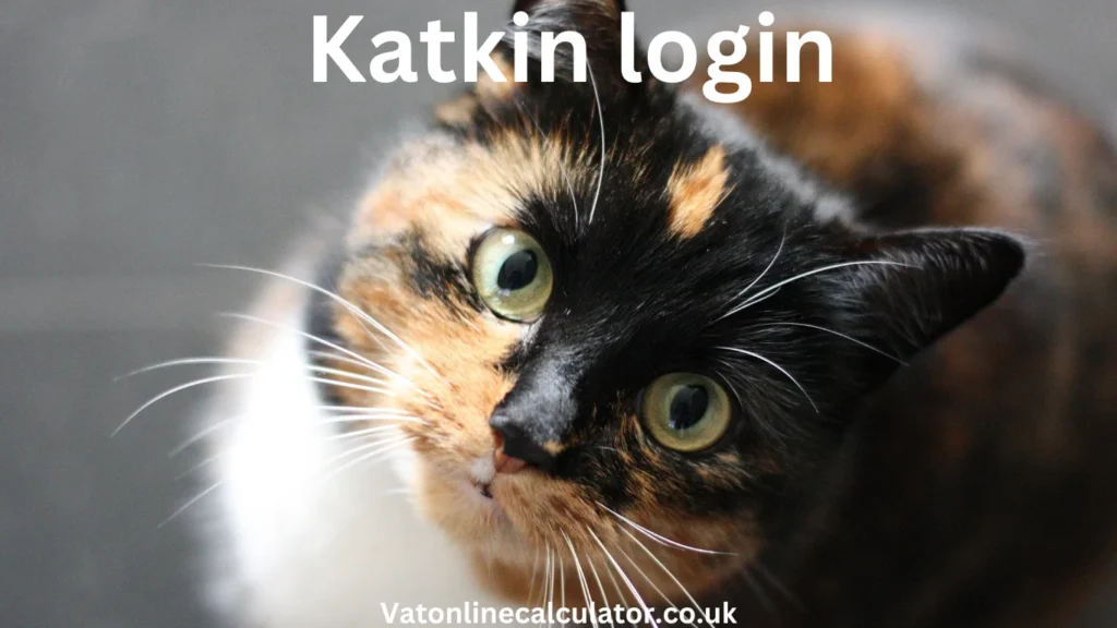 Troubleshooting KatKin Login Issues