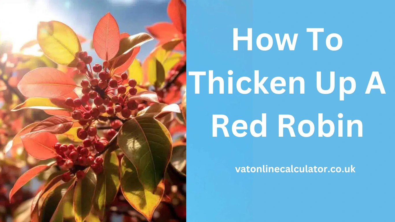 How To Thicken Up A Red Robin