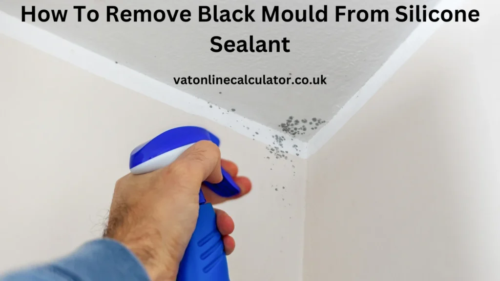 Step-by-Step Process Removing Black Mould from Silicone Sealant