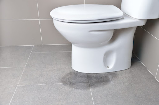 Toilets Clog