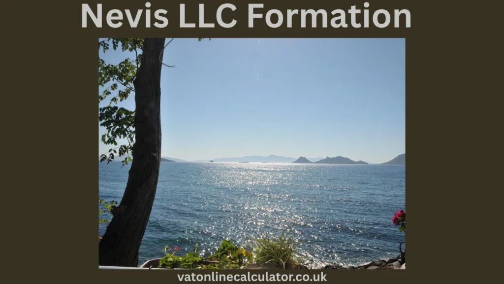 Why Choose Nevis for an LLC
