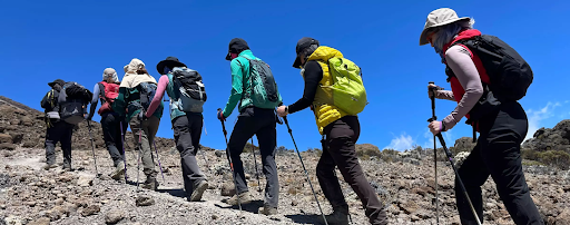The Mathematics of Altitude: How Kilimanjaro Mirrors the Logic of Progress