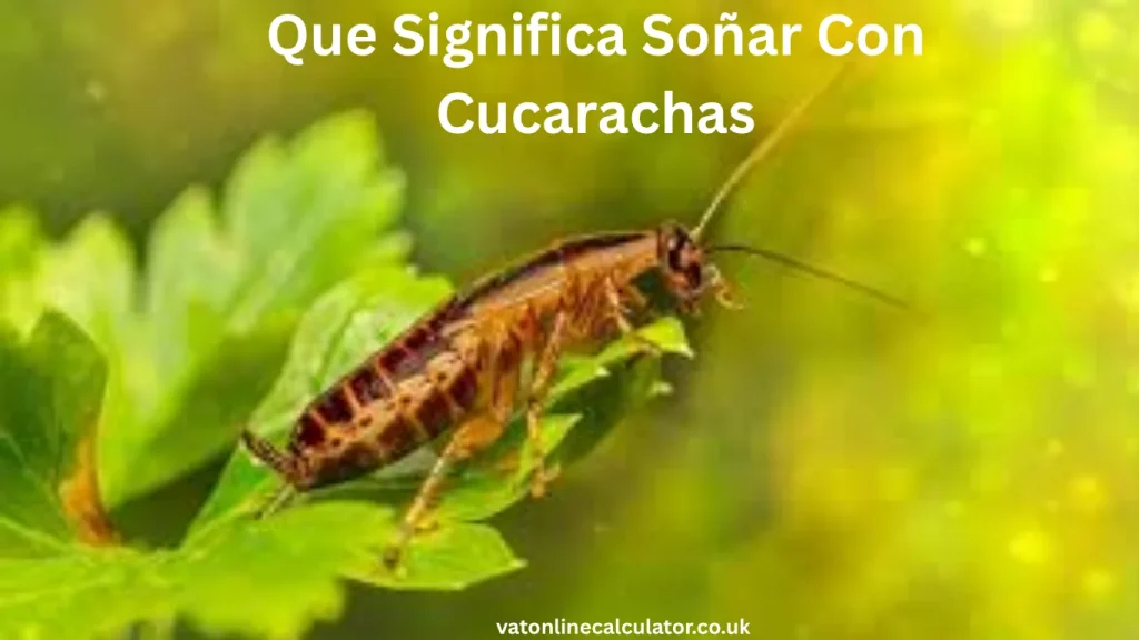 Different Situations and Their Meanings