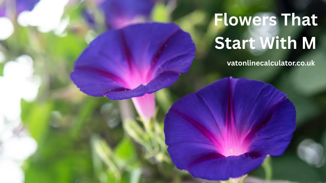 Flowers That Start With M