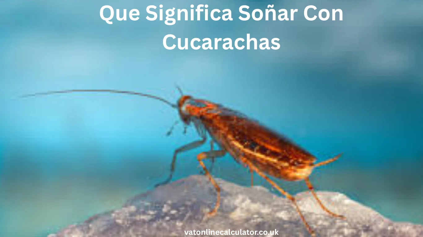 Que Significa Soñar Con Cucarachas
