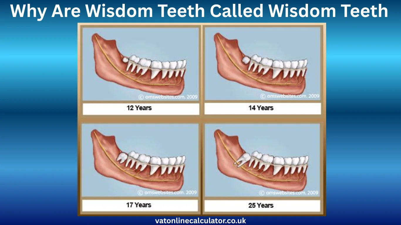 Why Are Wisdom Teeth Called Wisdom Teeth